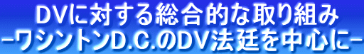�@�@DV�ɑ΂��鑍���I�Ȏ��g��
-���V���g��D.C.��DV�@��𒆐S��-